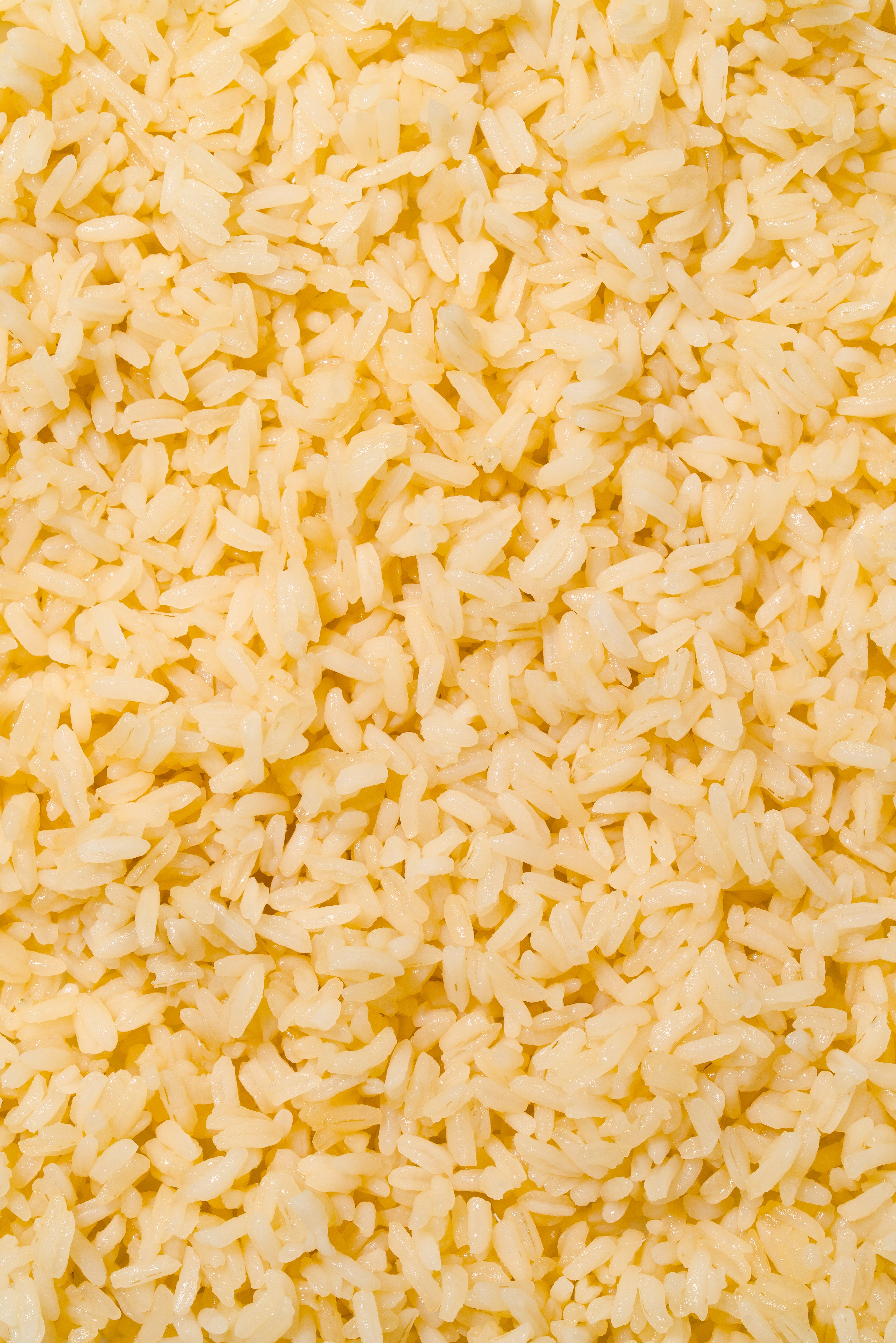 Real long-grain rice — the foundation of batch